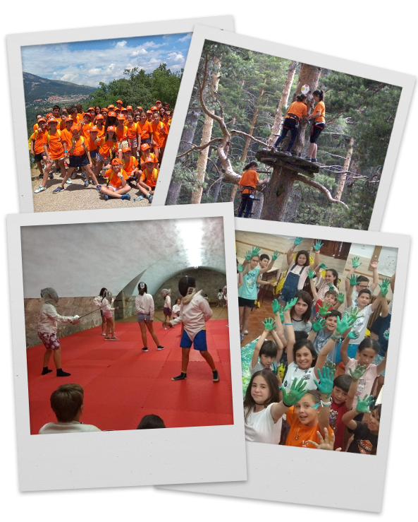 Collage actividades campamento verano madrid